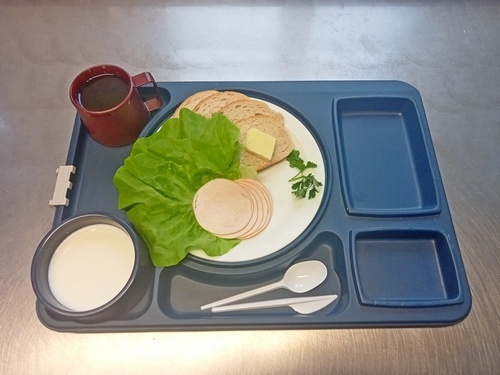 DIETA szynkowa saÄąâ€šata